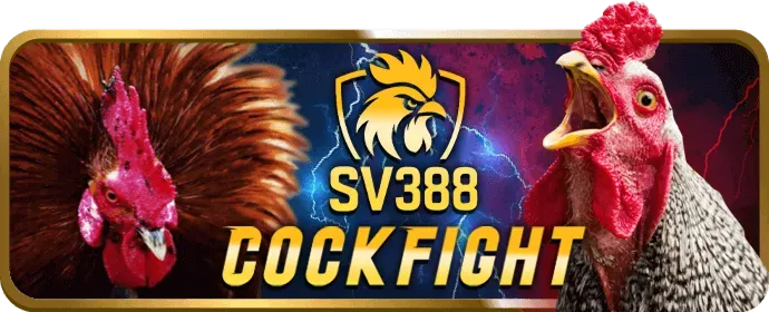 Thưởng sinh nhật và sự kiện đặc biệt anto247
