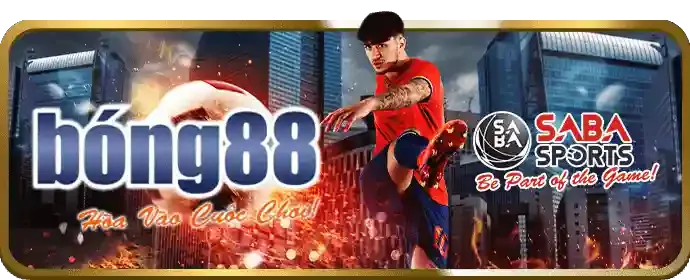 Hoàn trả cược thua anto247