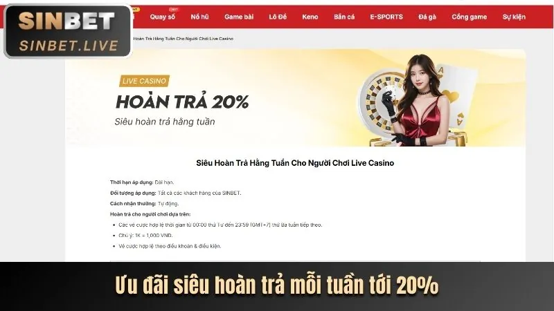 Chương trình hoàn trả hàng tuần tại anto247